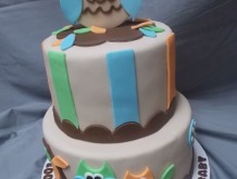 owl-shower