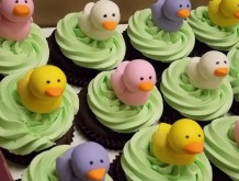 baby-ducks