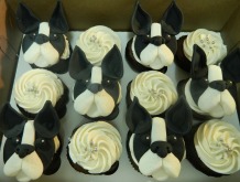 boston-terrier