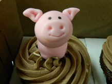pig